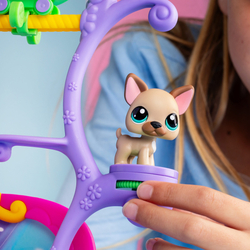 Littlest Pet Shop herní sada Zvířátka mají talent