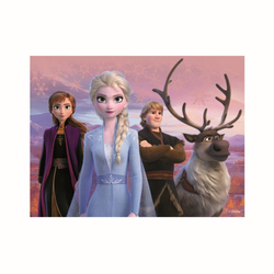 FROZEN II 12 Dřevěné licenční kostky