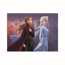 FROZEN II 12 Dřevěné licenční kostky