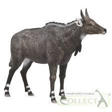 COLLECTA Nilgai