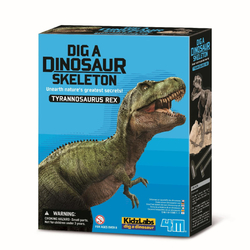 4M Dinosauří kostra - REX